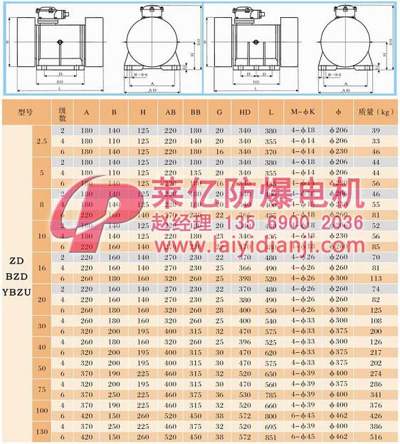 安阳莱亿专注防爆振动电机30年,专业生产ExdI YBZU煤矿用防爆振动电机,ExdII BT4粉尘防爆振动电机,Ex DIPA21TAT4粉尘防爆振动电机,ExdII CT4 BZD氢气乙炔用防爆振动电机,公司经国家级考核认证,并取得防爆合格证,安标证,生产许可证等国家认证。我公司以高质量的产品和服务,力求用户满意。联系人:赵经理,电话:135-6900-2036,网址www.laiyidianji.com