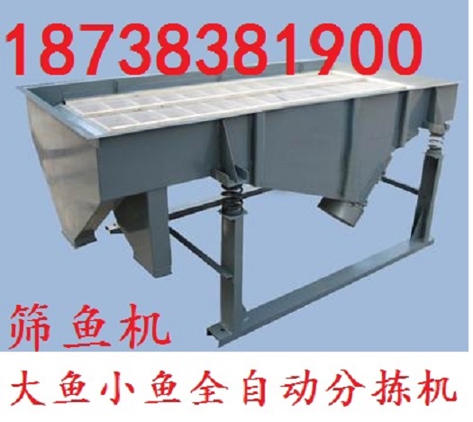 筛鱼机2.jpg