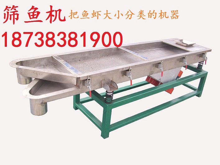 筛鱼机1.jpg