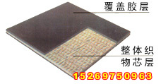 pvg输送带
