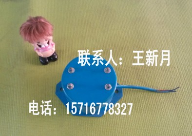 共威机械设备CZ250电磁振动器价格XKZ-5G2			 