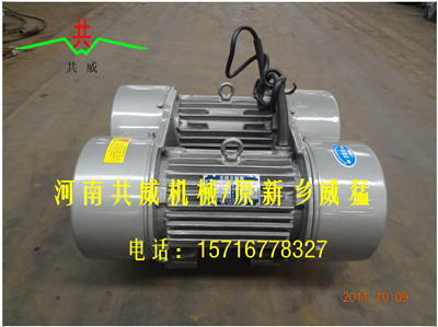 东方 共威（威猛）WHZY/WLZD-2*20-6振动电机（YZO-20-6）			 