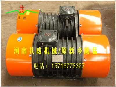 海南 共威（威猛）WHZY/WLZD-2*8-4振动电机（直线自振源）			 