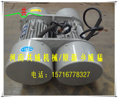 海南 共威（新乡威猛）品牌WHZY/WLZD-2*8-4振动电机（直线自振源）			 