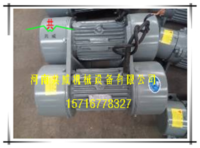  海口 正宗威猛WLZD-2*5-4直线自振源电机			 