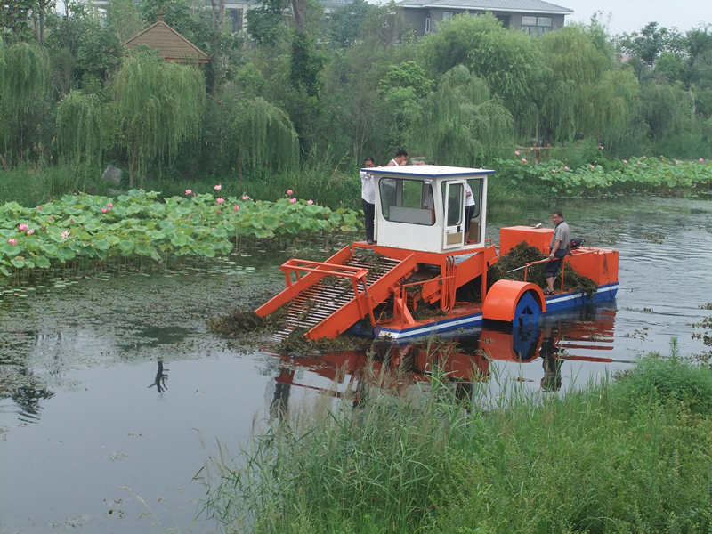 码头杂草清理船|水面垃圾收集船|垃圾清理运输船
