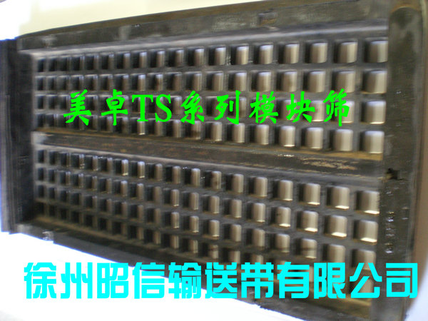 美卓TS橡胶模块筛板