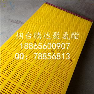 优质高效聚氨酯涨紧筛网-方孔筛网