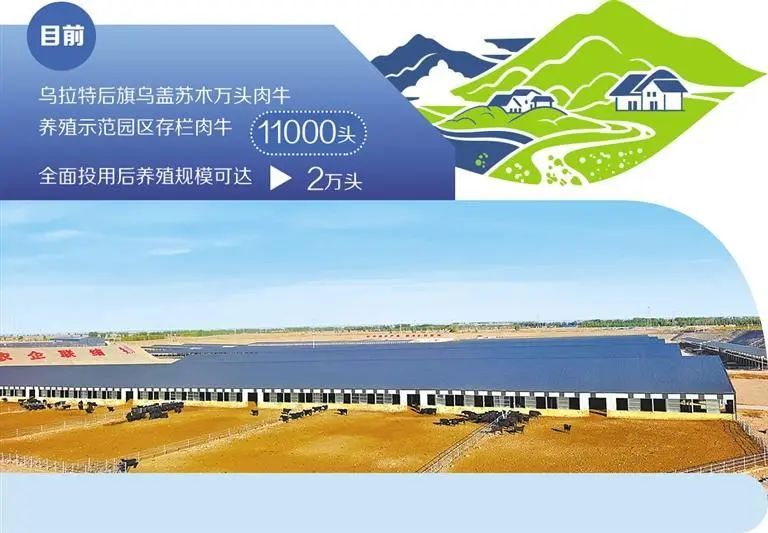 废弃砂石料场 蝶变，现代牧场 “华丽登场”