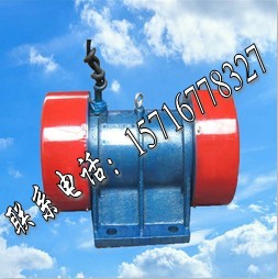 高品质YZS-30-4振动电机 特价 现货供应
