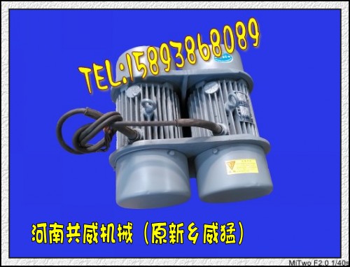 现货WHZY、WLZD双胞胎振动电机