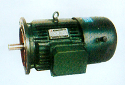 YEJ160L-2型制动电机