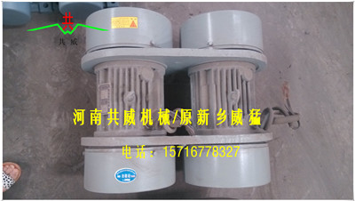 			 共威（威猛）WLZD-2*8-6连体电机 报价要求			 