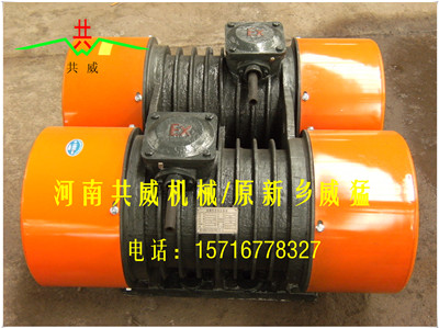 共威（威猛）WHZY/WLZD-2*50-6振动电机（YZO-50-6）			 