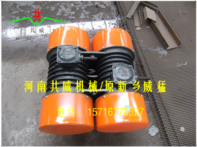 			 东方 共威（威猛）WHZY/WLZD-2*30-6振动电机（YZO-30-6）			 