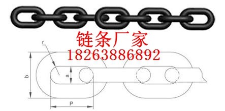 HL型TH型环链提升机用链条及链轮