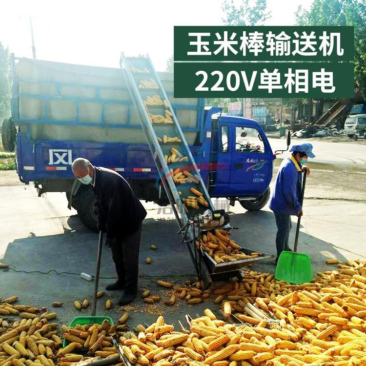 上房玉米棒挡边皮带输送机散粮装车卸货输送机折叠提升机