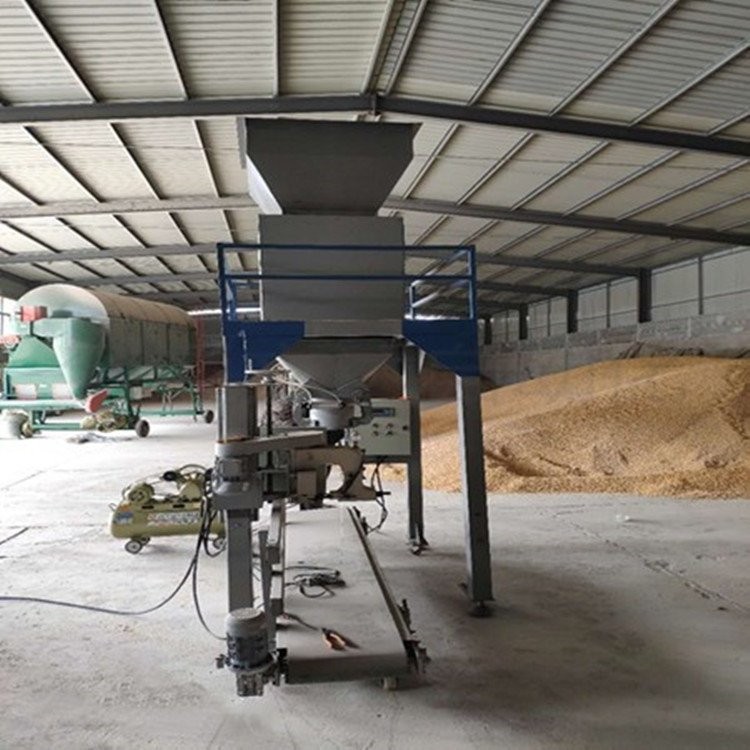 黄豆计量自动封口打包装袋机豌豆灌包机生产厂家