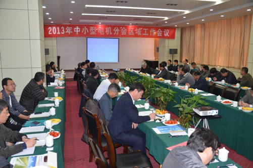 2013年中小型电机分会区域工作会议在南阳召开