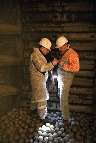 俄罗斯哈巴罗夫斯克服务部主管Denis Demenok（左）与矿山销售Artem Askhadulin在美卓Allis-Chalmers半自磨磨机内部进行磨损测量