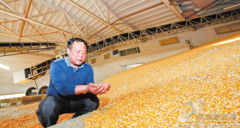 检验合格的粮食还要经过振动筛除去杂质