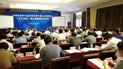 隆基参加中国冶金矿山企业协会第六届三次会议