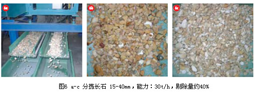 Mogensen筛选系统