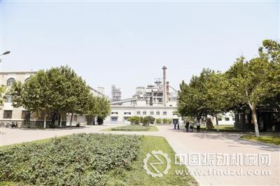 公司厂区如同花园一般,没有传统水泥厂尘土飞扬的景象。