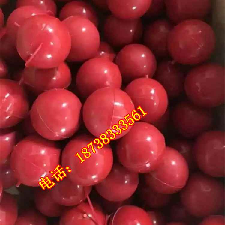 mmexport1484373683838_副本.jpg
