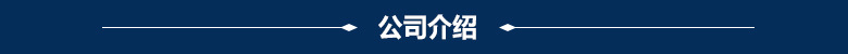 4.公司介绍