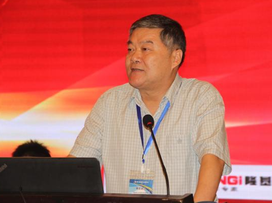  中国冶金矿山企业协会项宏海常务副会长致辞