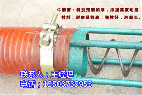 timg (8)_副本.jpg