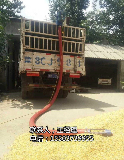 timg (5)_副本.jpg