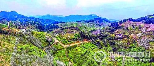 　一到春天，漫山遍野的李花竞相开放，引得游客纷至沓来