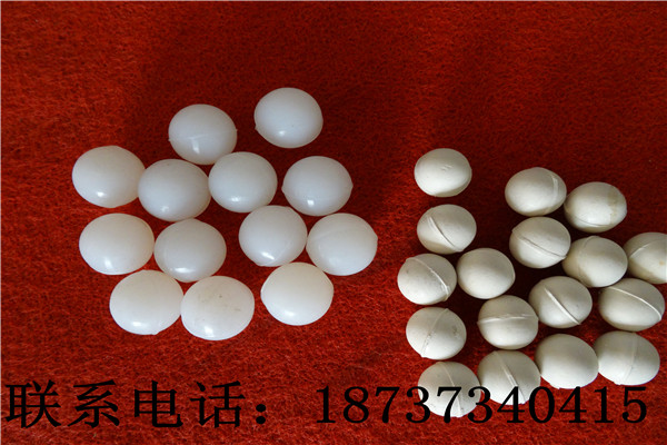 DSC00525.jpg