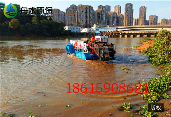 31福建南平水葫芦打捞船 (4).jpg