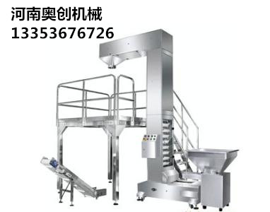 转斗提升机2 转斗提升机2