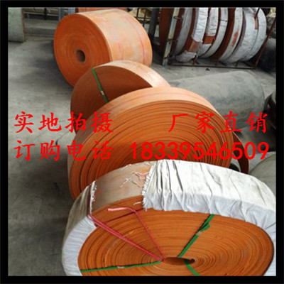 提升带、提升机皮带 (3).jpg