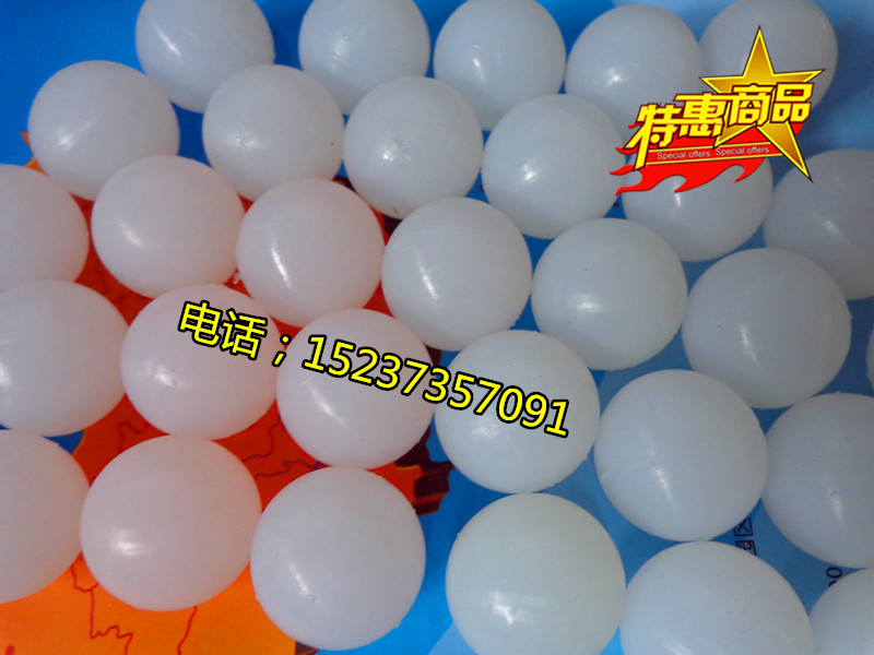 DSC01795_副本.jpg