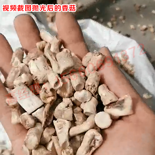 抛光后的香菇.jpg