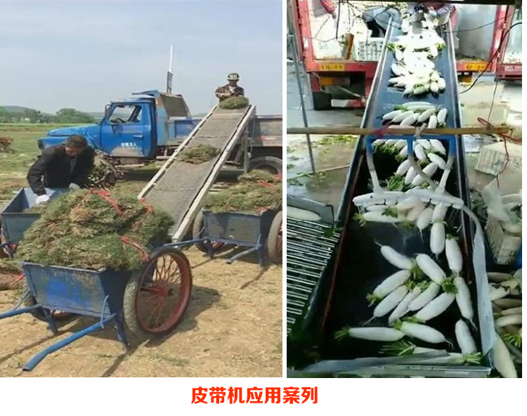 详情9.jpg