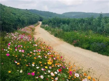 矿山生态修复后开采边坡平台间道路情况