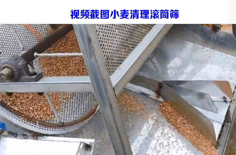 详情41.jpg