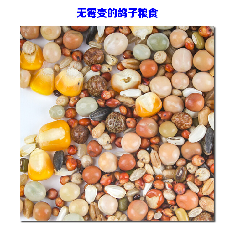 详情12.jpg