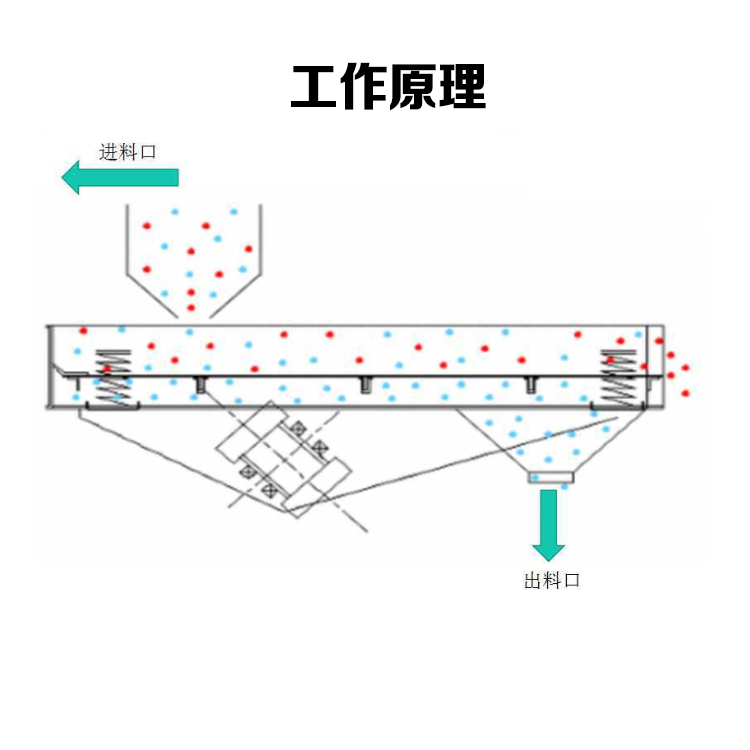详情445.jpg