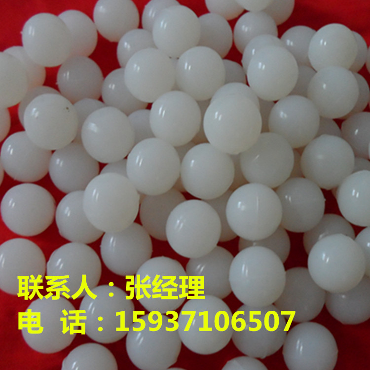 SAM_3369_副本.jpg