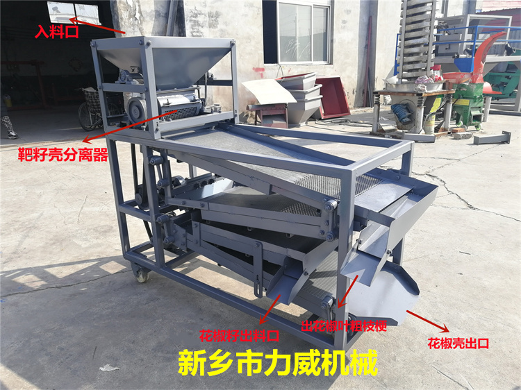IMG_20210302_143314_副本_副本.jpg