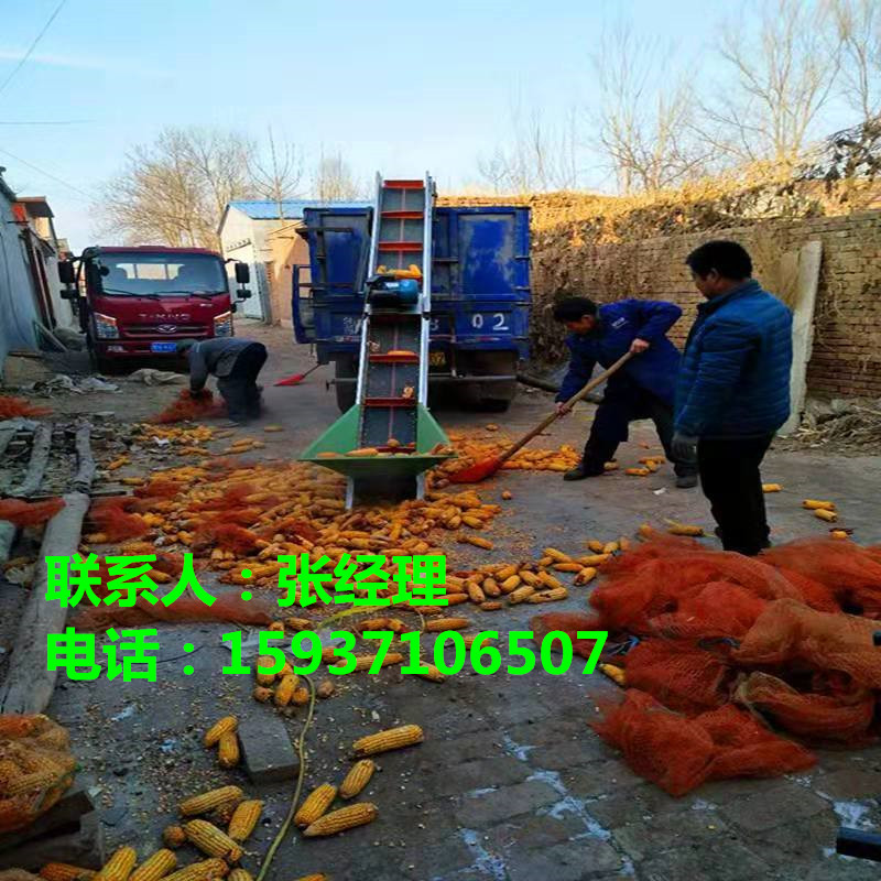 447815896209360147_副本.jpg