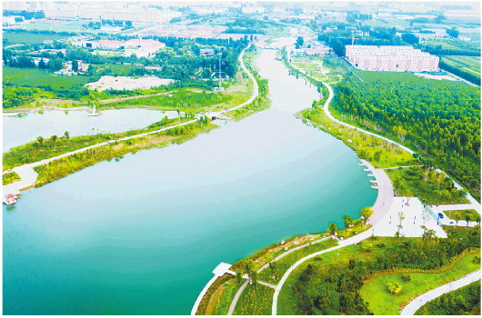 　宁阳县采煤塌陷地治理洸河湿地生态保护工程