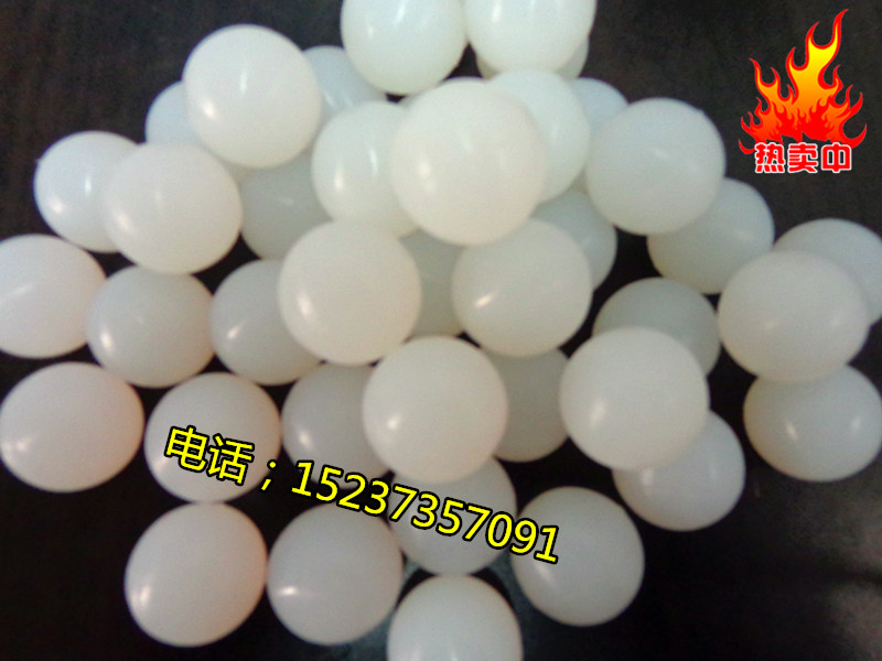 DSC01807_副本.jpg